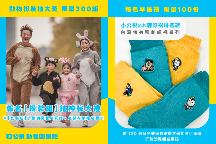 這是一張圖片