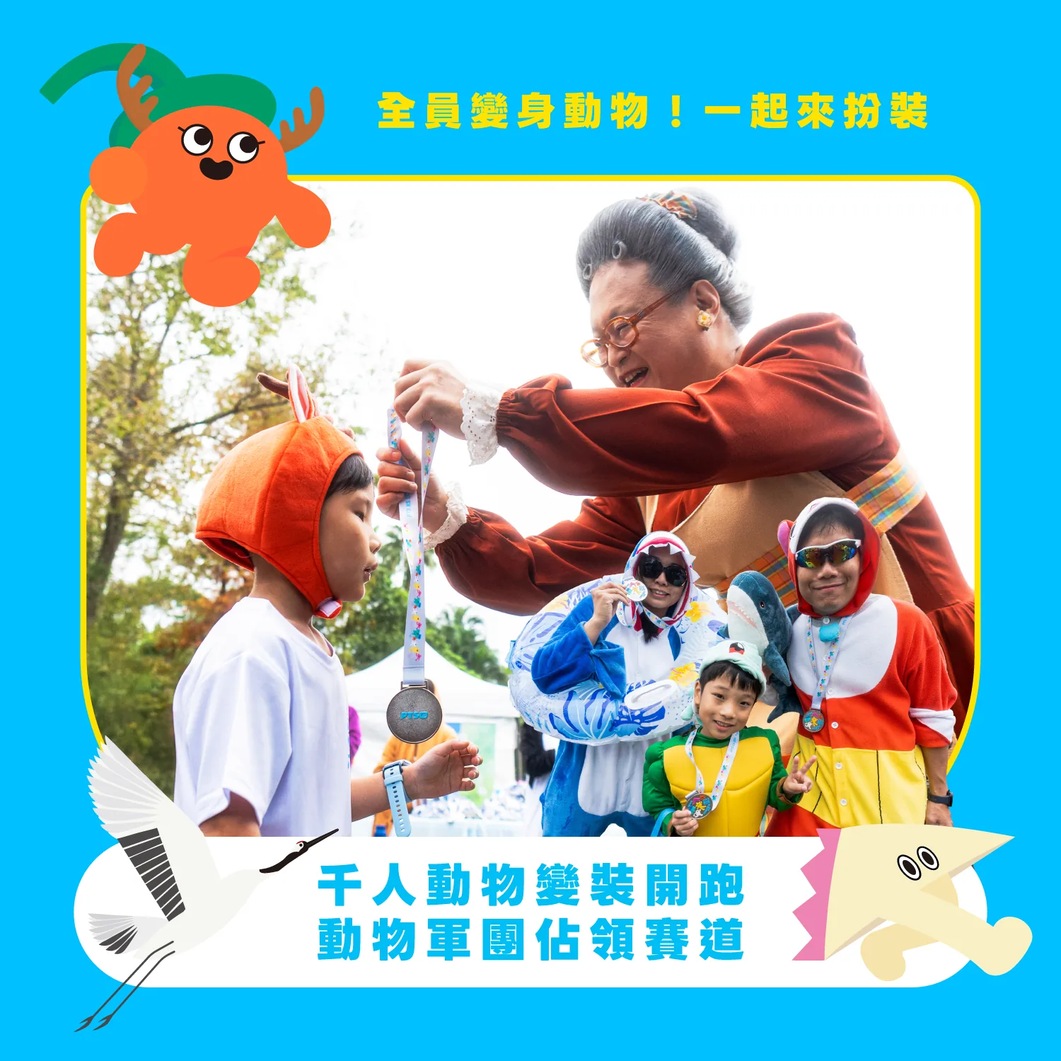 這是一張圖片