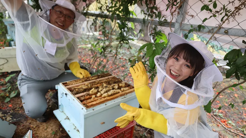 彰化縣同安國小咖啡師認證課程　種植到烘豆