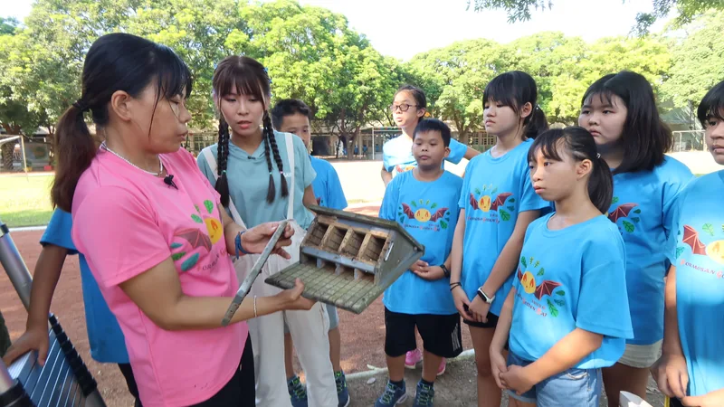 雲林縣誠正國小｜最幸蝠的小學 學校的住客 蝙蝠