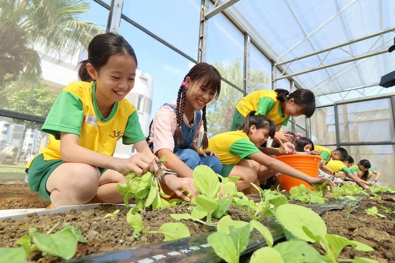 台南市官田國小｜菱角的故鄉 水雉復育大行動