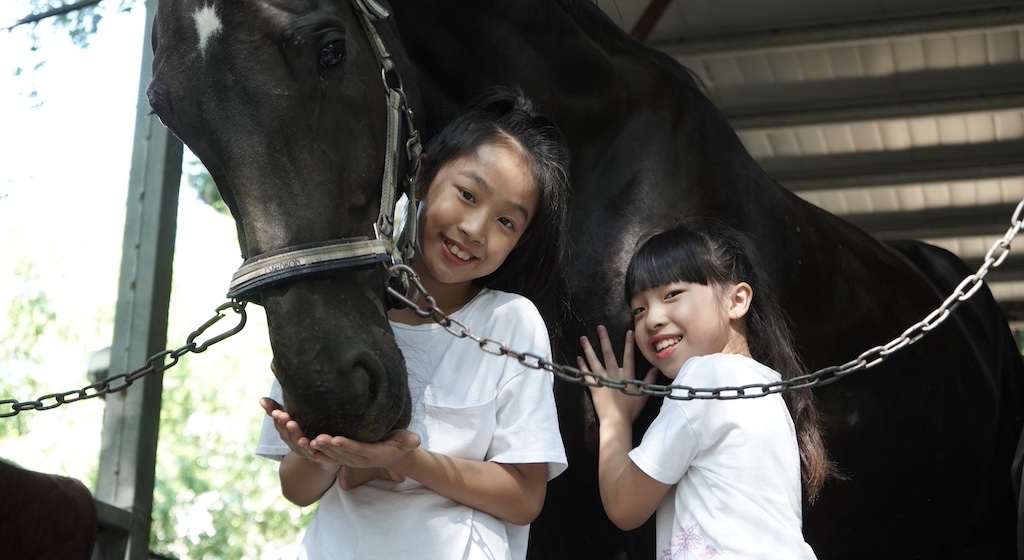 台中烏日馬