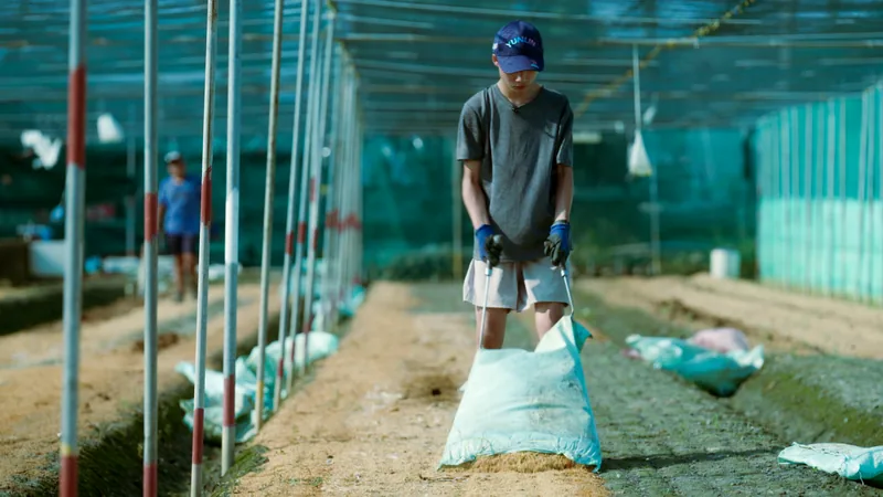 躲在螢幕後的孤單(中)